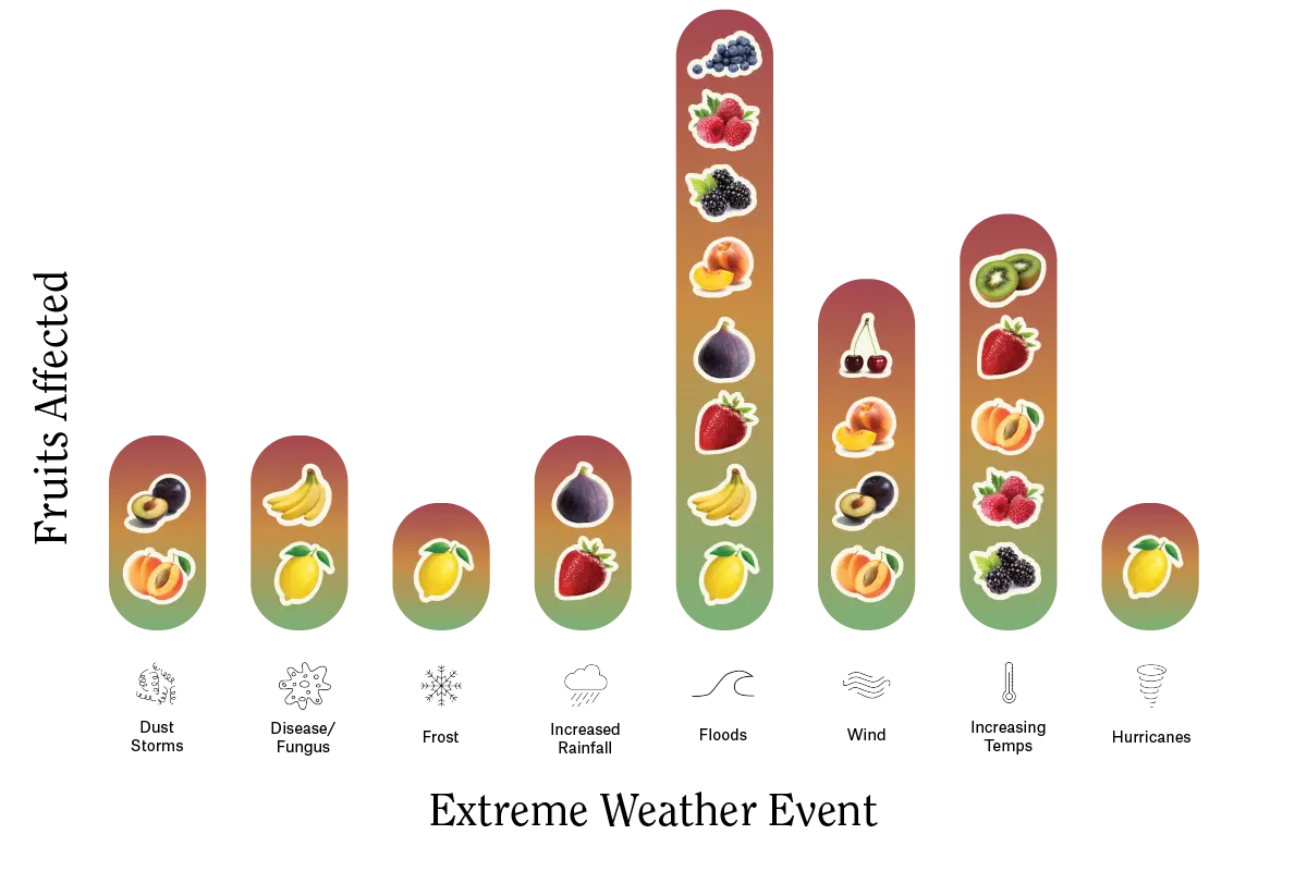 climate-changed-jam-fruit-infographic-1
